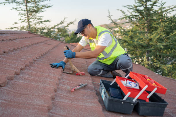 Roof Gutter Cleaning in Vermilion, OH